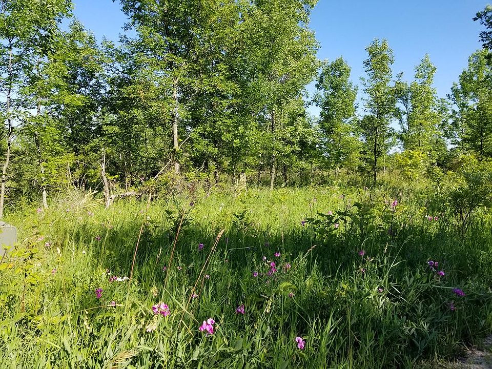 1st image of LOT 1* Settlement Woods