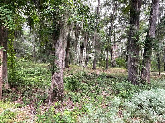 4th image of Pine Island Rd