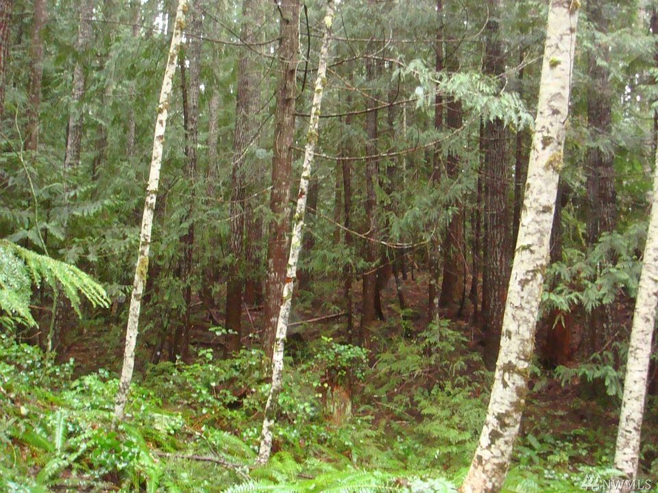 2nd image of 1371 N Dow Ridge Rd