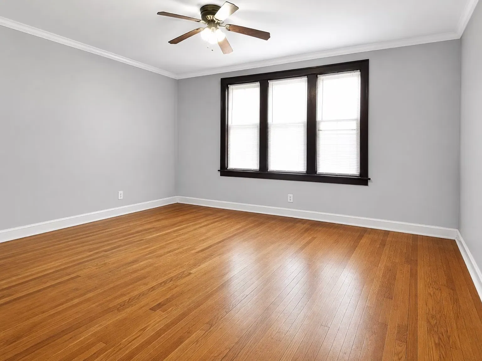 1 bed, 734 sqft, $1,200 — Photo 3