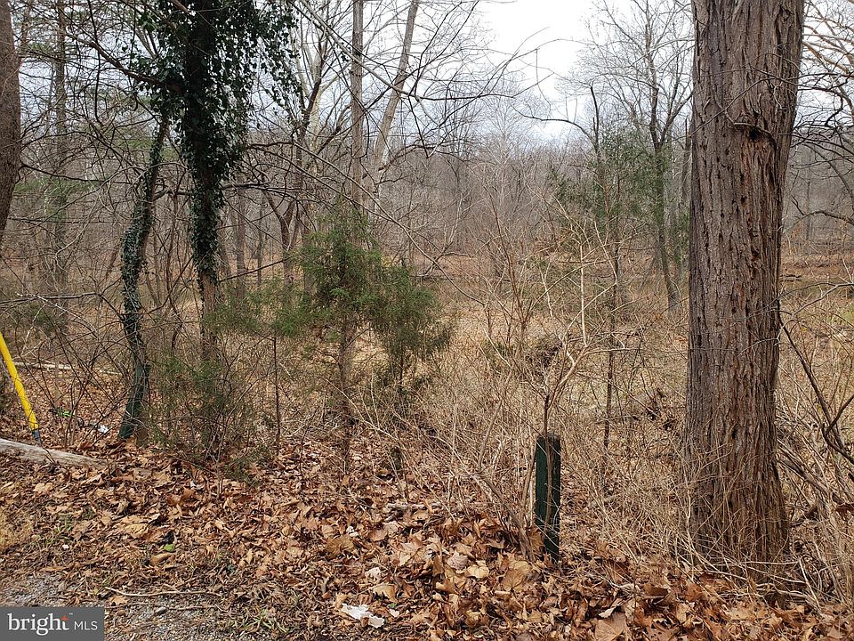 2nd image of Cacapon Rd