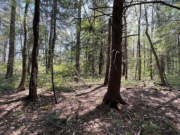 5th image of LOT 120 Knoll Dr