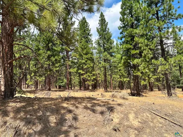 469-425 Childrens Rd, Susanville, CA 96130