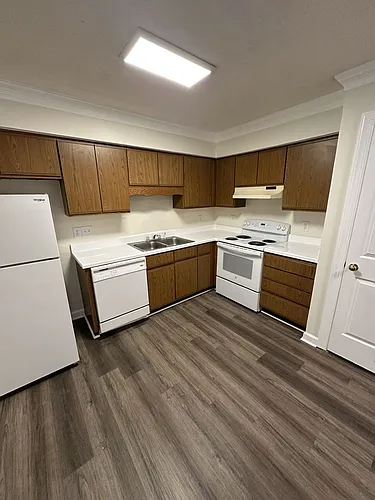3502-302 Ivy Commons Dr Photo 1