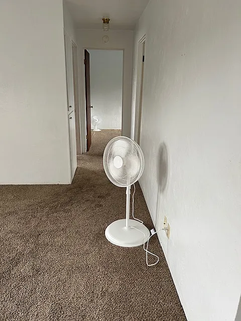2 bed, $1,150 — Photo 3