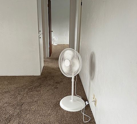 3rd image of 724 Winchester Ave #724