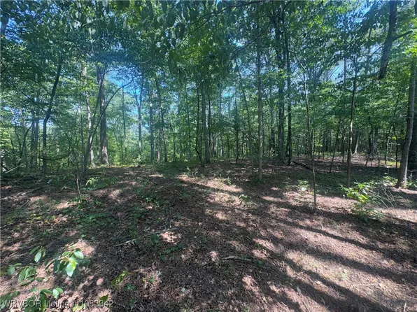 County Road 3891, Lamar, AR 72846