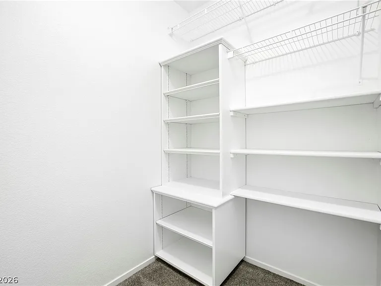 10171 Rocky Tree St — Photo 19