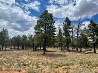 4173 Durango Dr, Happy Jack, AZ 86024