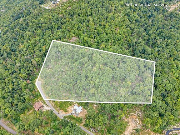 3rd image of C-95 Foxfire Road