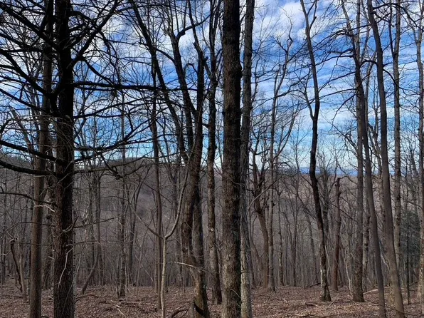 1341 Deer Run Rdg APT 5155, Jasper, GA 30143