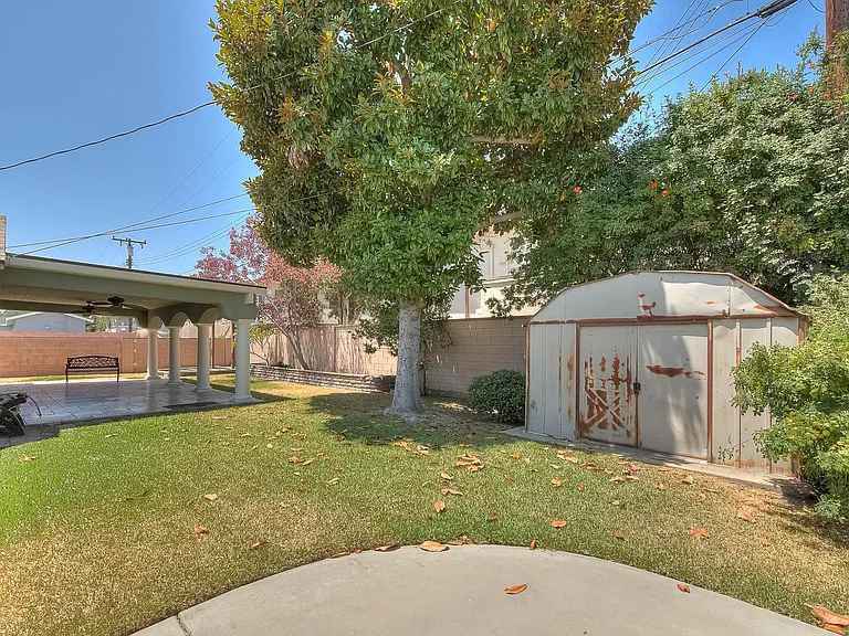 Backyard