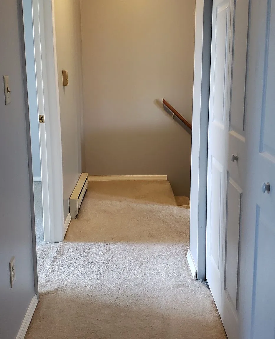 1733BCS — Photo 3