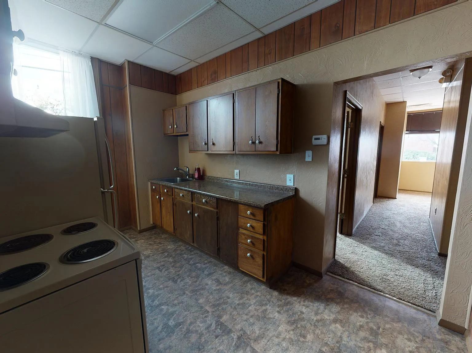 2 bed, $850 — Photo 3