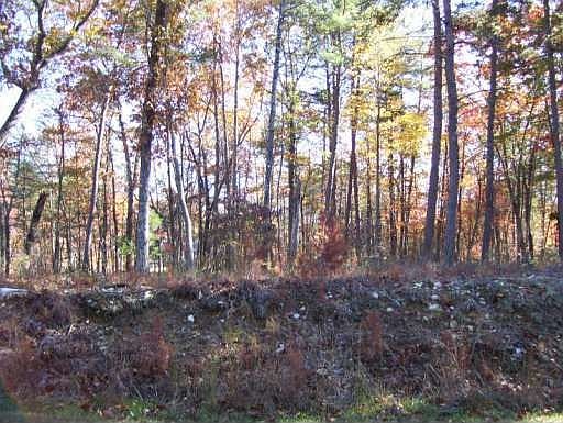 4th image of 273 Cherokee Dr #2