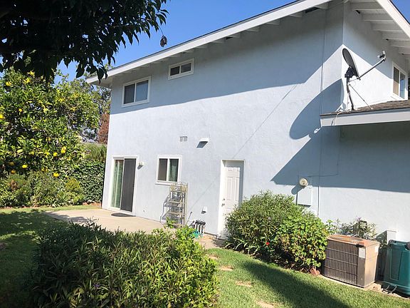 Backyard with orange tree