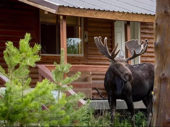 323 GCR 46, Grand Lake, CO 80447