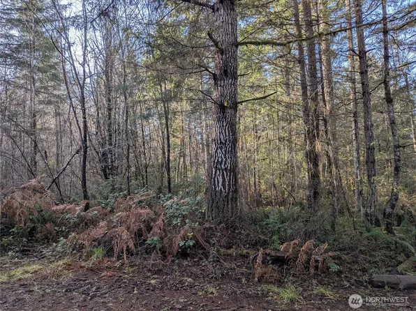 0 E Savage, Grapeview, WA 98546