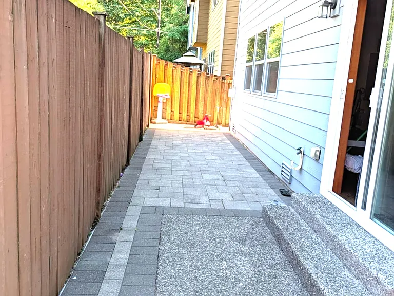 Easy Maintenance Backyard