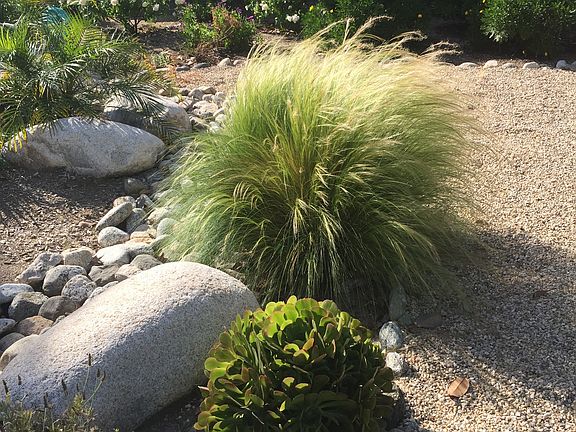 Drought Tolerant Front Yard