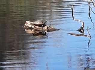 8491 Stone Dr, Webster, FL 33597