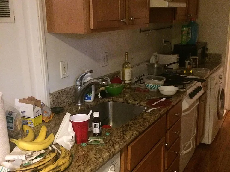 51 Hemenway St #B3 — Photo 7