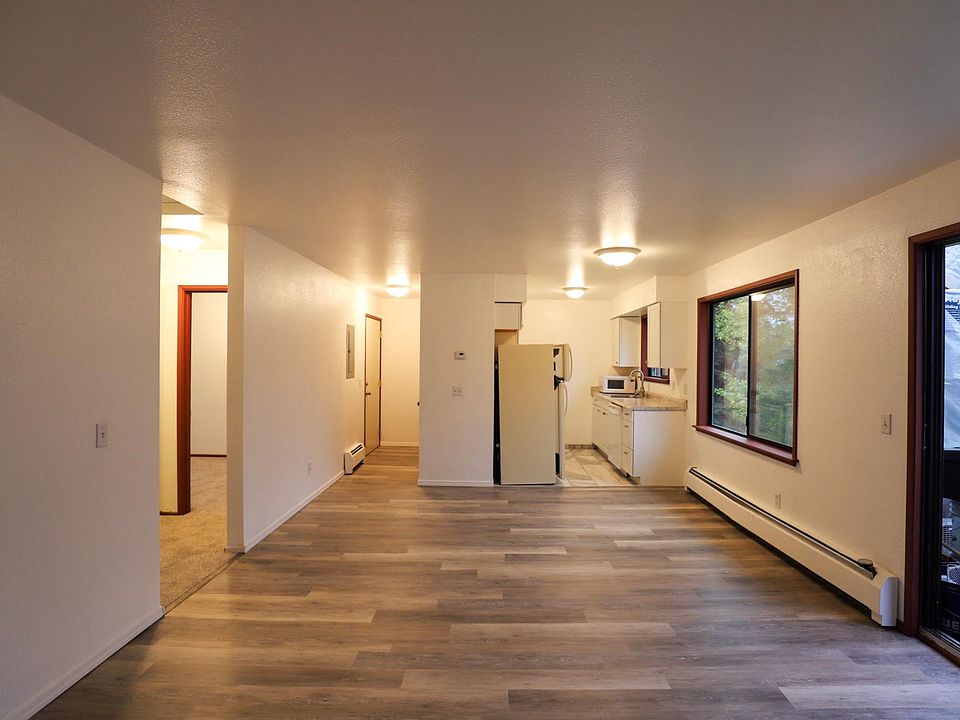 Main room, entry, and kitchen