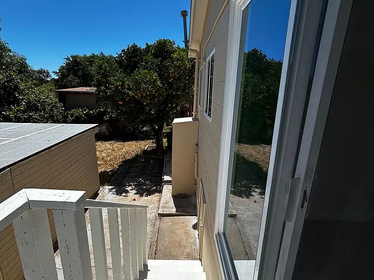 2764 Wilma St — Photo 19