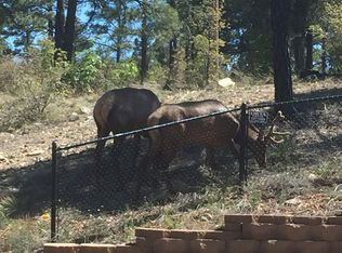 2941 W Mountain Park Rd, Show Low, AZ 85901
