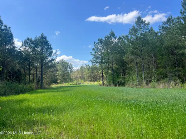 1479 Truesdale Rd, Carthage, MS 39051