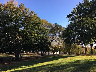 Rented by Manhattan Management LLC