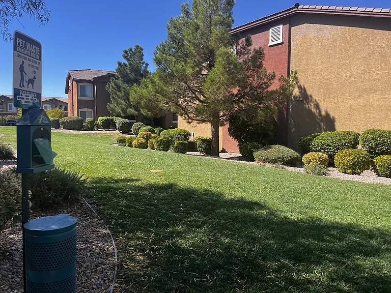 Grassy Area
