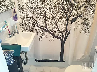 Rented by Brooklyn Heights Real Estate Inc