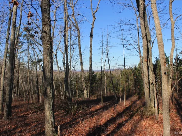 Ponderosa Rd, Louisa, VA 23093