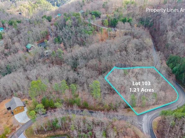123 Long Rifle Rd Lot 123, Sevierville, TN 37862