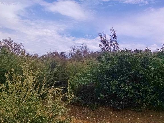 3rd image of 9249 E Shirley Ln