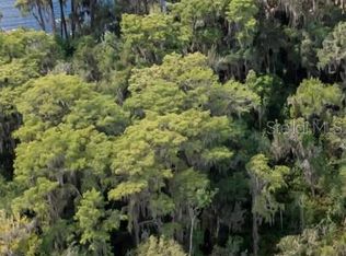 21707 NE 115th Ave LOT 7, Earleton, FL 32631