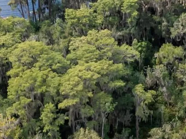 21707 NE 115th Ave Lot 7, Earleton, FL 32631