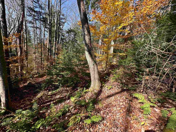 00 Lawrence Davis Drive, Wilmington, VT 05356