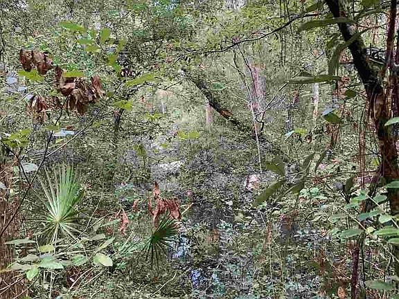 4th image of 12551 River Creek Dr
