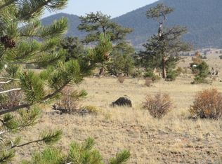 10806 Routt Rd, Hartsel, CO 80449