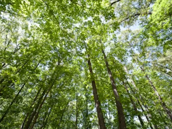 131 Stone Lake Dr #13, Madison, MS 39110