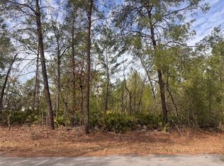 Malauka Lane Pass Lot 9, Ocklawaha, FL 32179