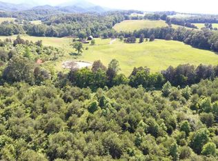 854 Peanut Rd, Parrottsville, TN 37843