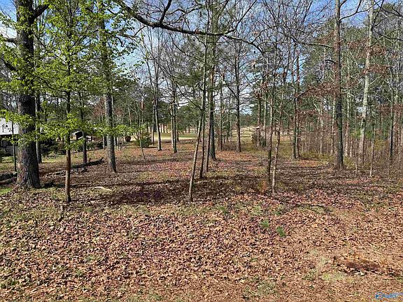 21 County Road 380, Centre, AL 35960 | MLS #21855211 | Zillow
