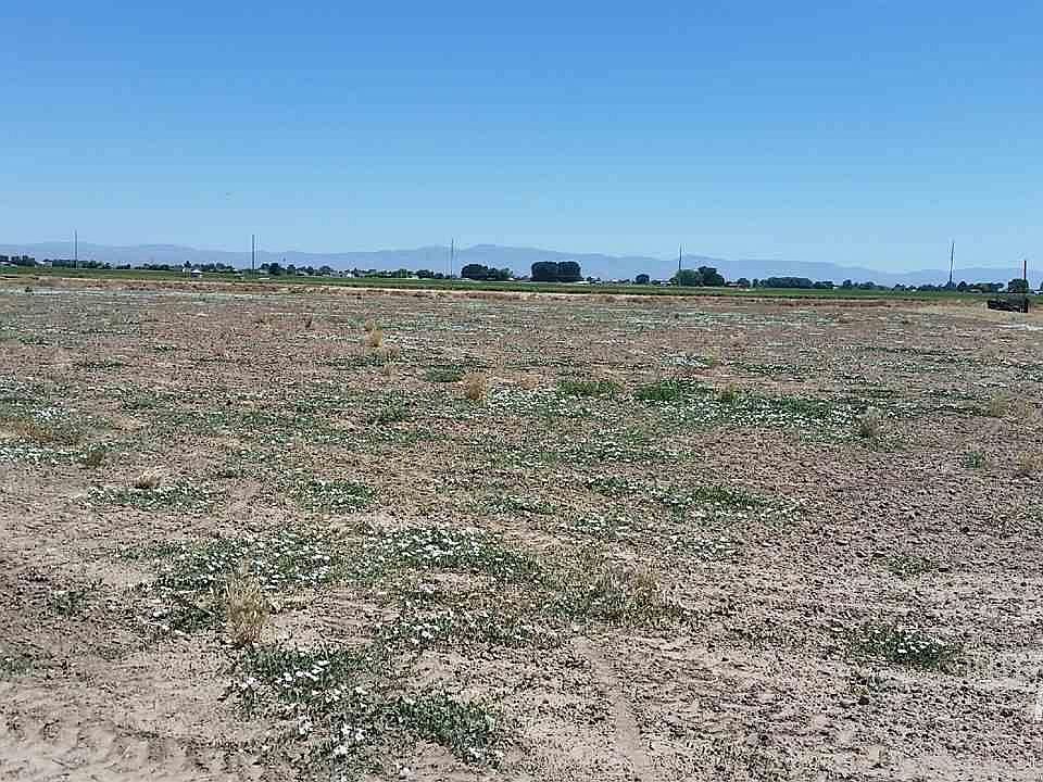 1st image of Midland Blvd
