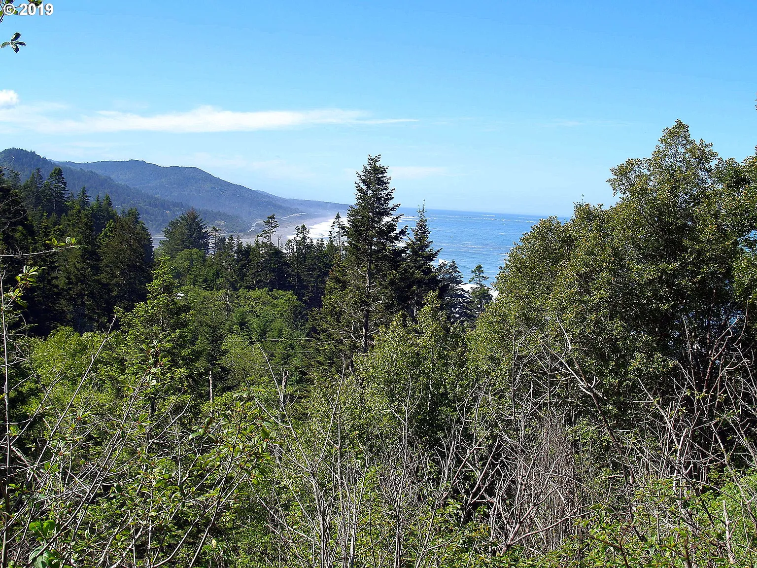 Coy Creek Rd photo 1