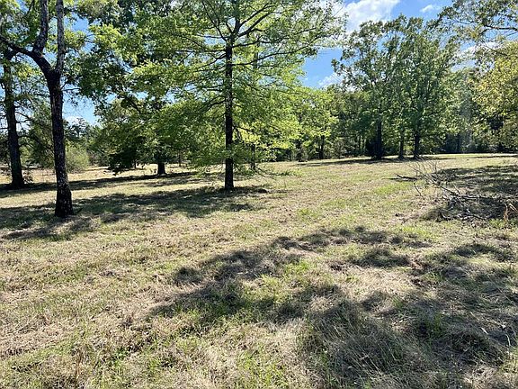 3rd image of 421 Pitt Rd