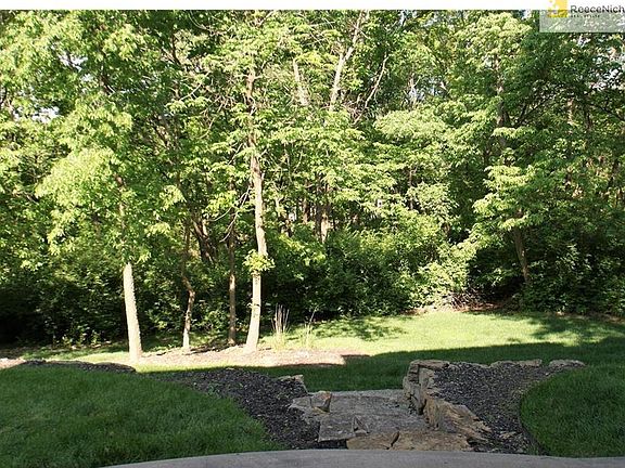 Wonderful green space in the backyard