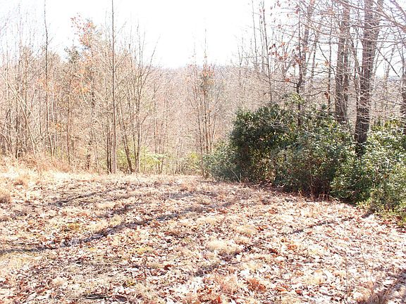 4th image of 629 River Ridge Ln